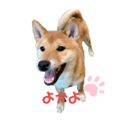 [LINEスタンプ] やまぐちさだはる2