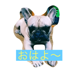 [LINEスタンプ] ナイトのオリジナルスタンプ