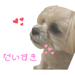 [LINEスタンプ] そらちしか勝たん