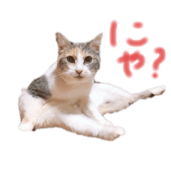 [LINEスタンプ] みみたん0505！