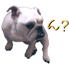 [LINEスタンプ] 梅ちゃん's BEST ②