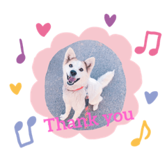 [LINEスタンプ] ちろすけ