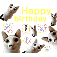 [LINEスタンプ] 山羊さんpartⅡ