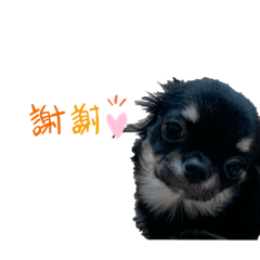 [LINEスタンプ] リンとココ