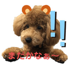 [LINEスタンプ] うちのもこスタンプ