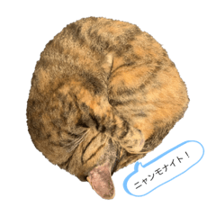 [LINEスタンプ] まめちゃんそらちゃんたろうくんのスタンプ