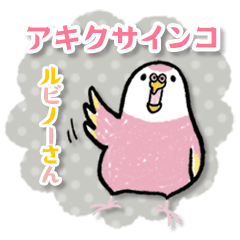 [LINEスタンプ] アキクサインコのルビノーさん