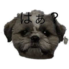 [LINEスタンプ] 我が家のマハロのスタンプ