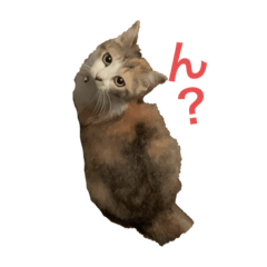 [LINEスタンプ] どらさんが言った