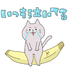 [LINEスタンプ] いつも泣いてる。ねこさん