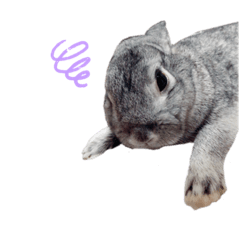 [LINEスタンプ] たむたむとむぎ
