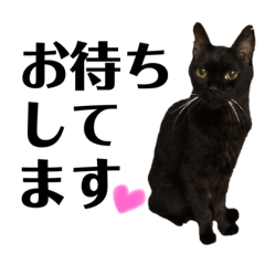 [LINEスタンプ] 我が家のさぶち