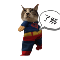 [LINEスタンプ] いわし