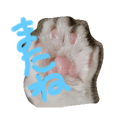[LINEスタンプ] 老猫サブロースタンプ