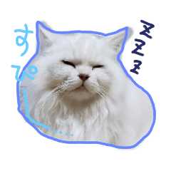 [LINEスタンプ] 良く使うフレーズ、にゃんこバージョン