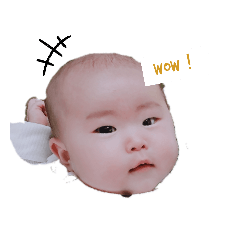 [LINEスタンプ] とうわゆずは