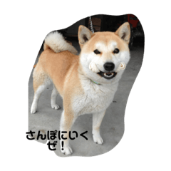 [LINEスタンプ] ミスターレオ