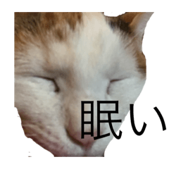[LINEスタンプ] 何も無い1日