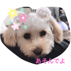 [LINEスタンプ] 癒しのsora