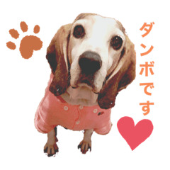 [LINEスタンプ] ダンボのスタンプ➀