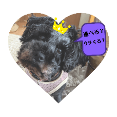 [LINEスタンプ] よく使う言葉4 犬