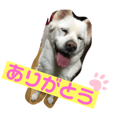 [LINEスタンプ] 我が家のアイドル！ななちゃん♡