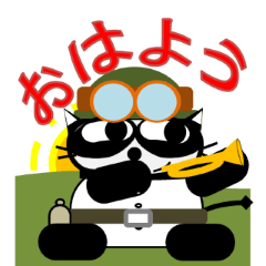 [LINEスタンプ] パンダの属性なのだが、猫耳の勇敢な兵隊