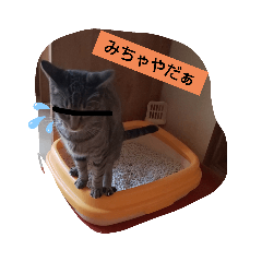 [LINEスタンプ] スミとシマ。