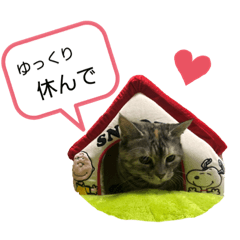[LINEスタンプ] らいちゃんの日常♡