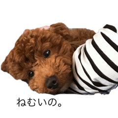 [LINEスタンプ] 山田家のレオくん
