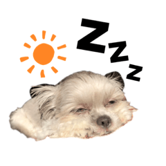 [LINEスタンプ] むぎちゃんだよ②
