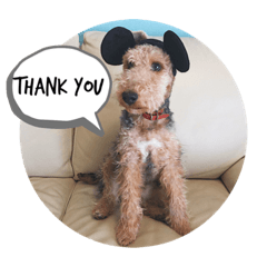 [LINEスタンプ] Welsh terrier Leon