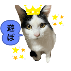 [LINEスタンプ] ふくちゃん すたんぷ2