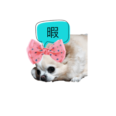 [LINEスタンプ] 量産系そら