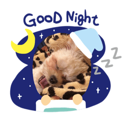 [LINEスタンプ] うちの犬.1