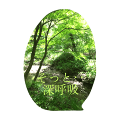 [LINEスタンプ] そっと‥心に届けたい一言