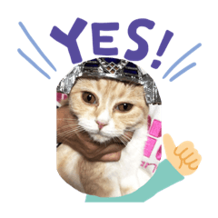 [LINEスタンプ] スコティシュあんこ
