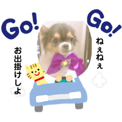 [LINEスタンプ] chihuahua4.