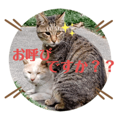 [LINEスタンプ] やじまとあやちゃんman