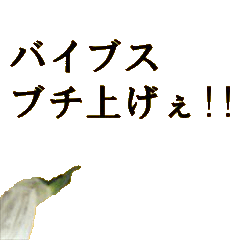 [LINEスタンプ] 元気に動くねぎ