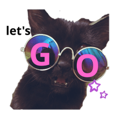 [LINEスタンプ] 黒猫クロエスタンプ