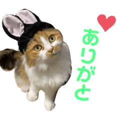 [LINEスタンプ] スコ先生part1