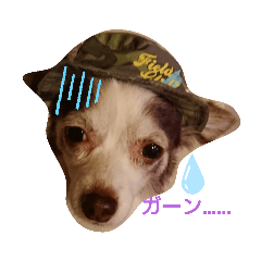[LINEスタンプ] まゆ毛のフクちゃん2