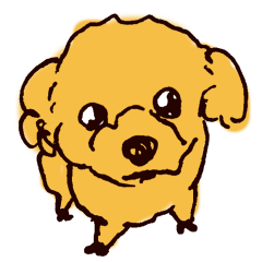 [LINEスタンプ] トイプードルのケキゴースタンプ