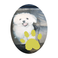 [LINEスタンプ] さくらまったり