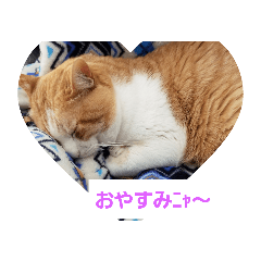[LINEスタンプ] 空とタマ！