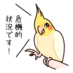 [LINEスタンプ] オカメインコのウー