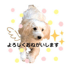 [LINEスタンプ] かわいいみるくのスタンプ♡♥♡