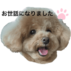 [LINEスタンプ] うちの麦くん！！