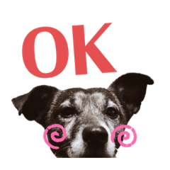 [LINEスタンプ] 我が家の愛犬ロック